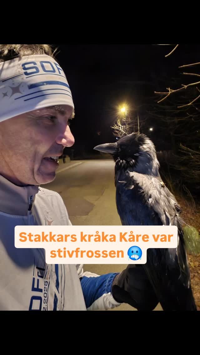 Instagram post from stavangerogomegnfriidrett. This post is in position 2.